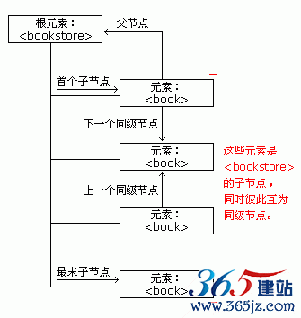 node tree