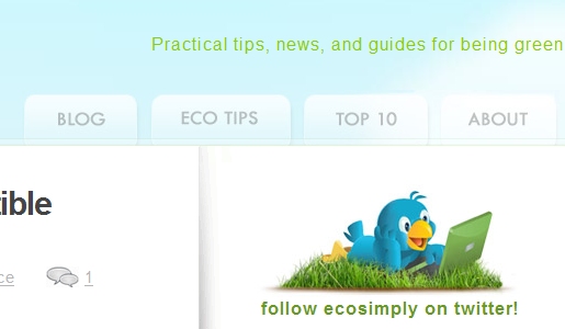 Ecosimply