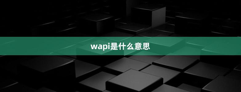 wapi是什么意思